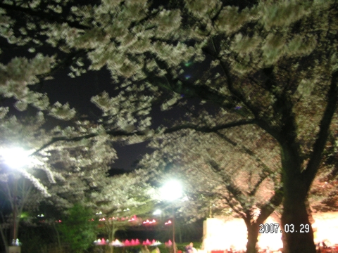 s_PICT0003.jpg